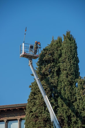 A gray crane being used to assist a tree trimmer to trim nearby trees.